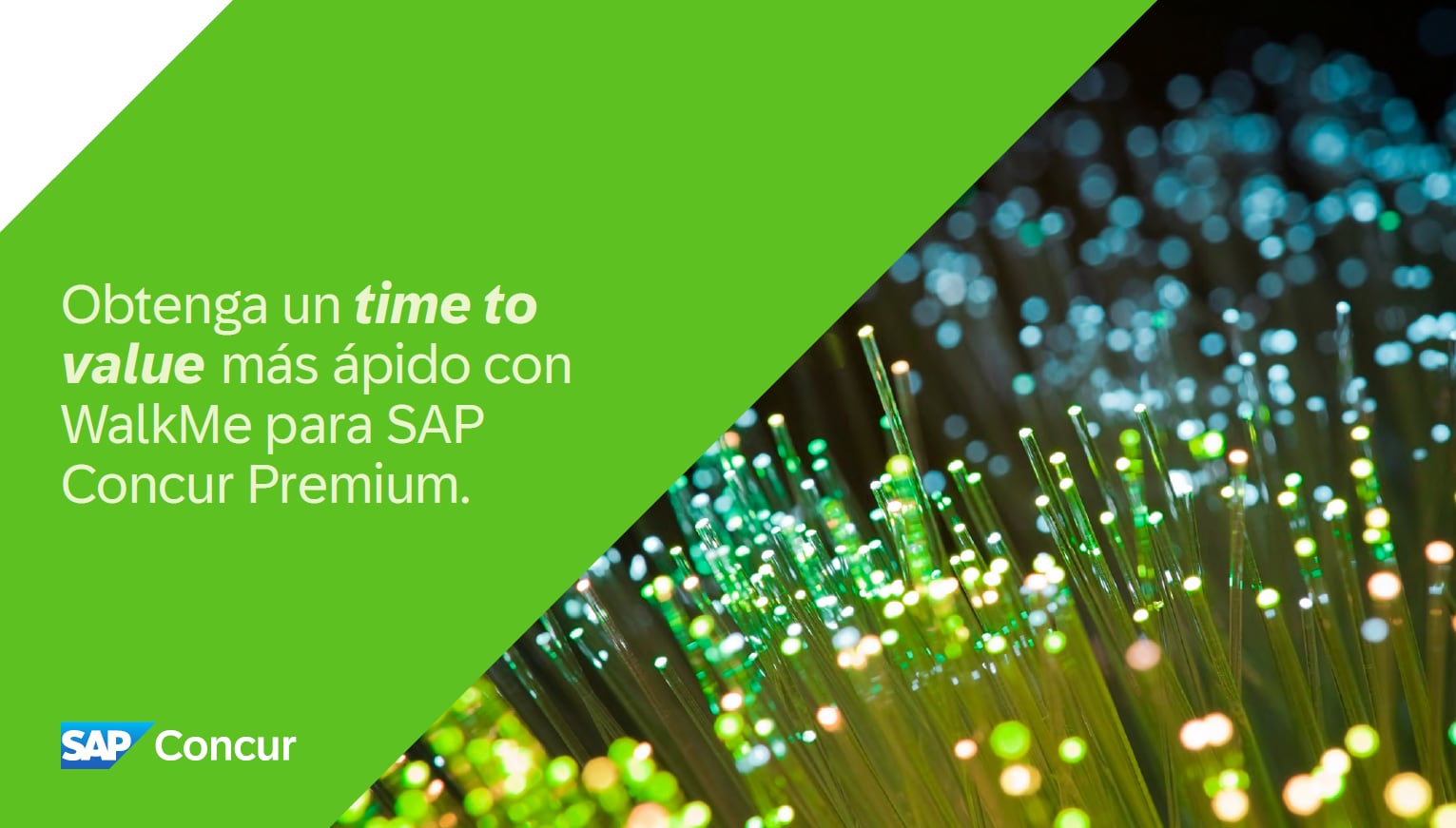 portada de ebook walkme sap concur