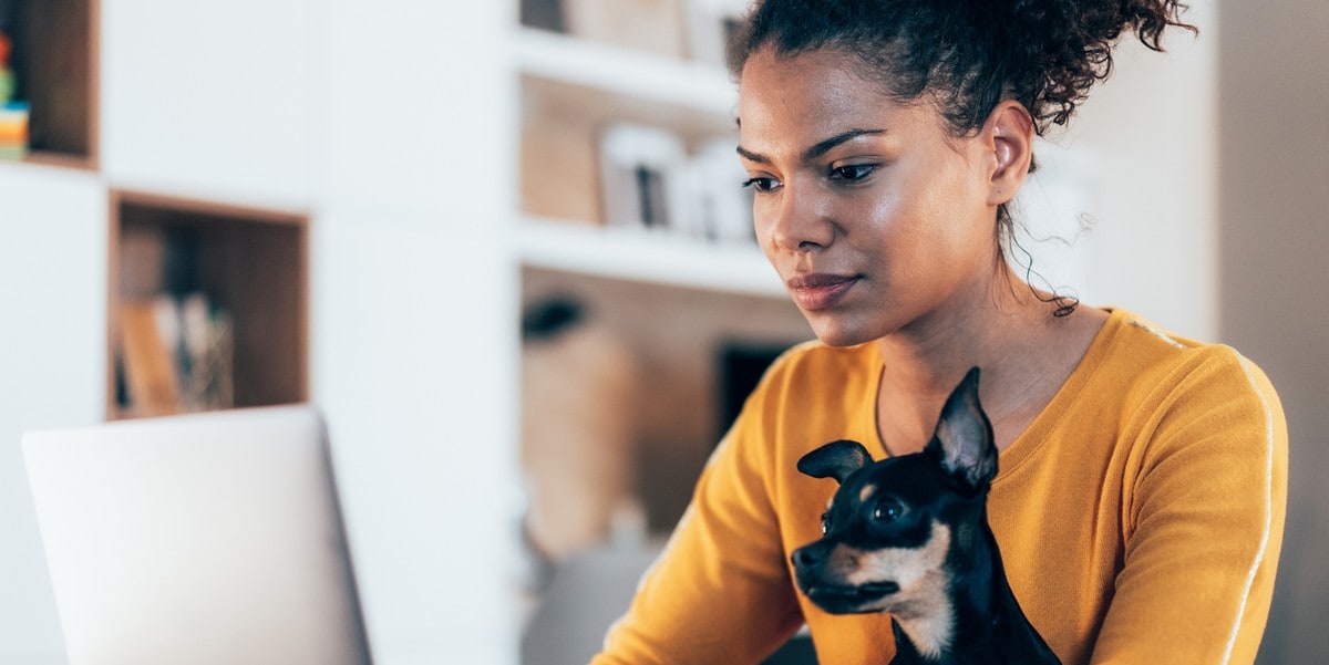woman working from home, small dog on her lap