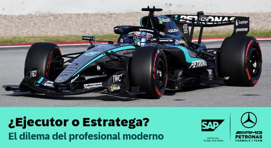 ejecutor-o-estratega-portada