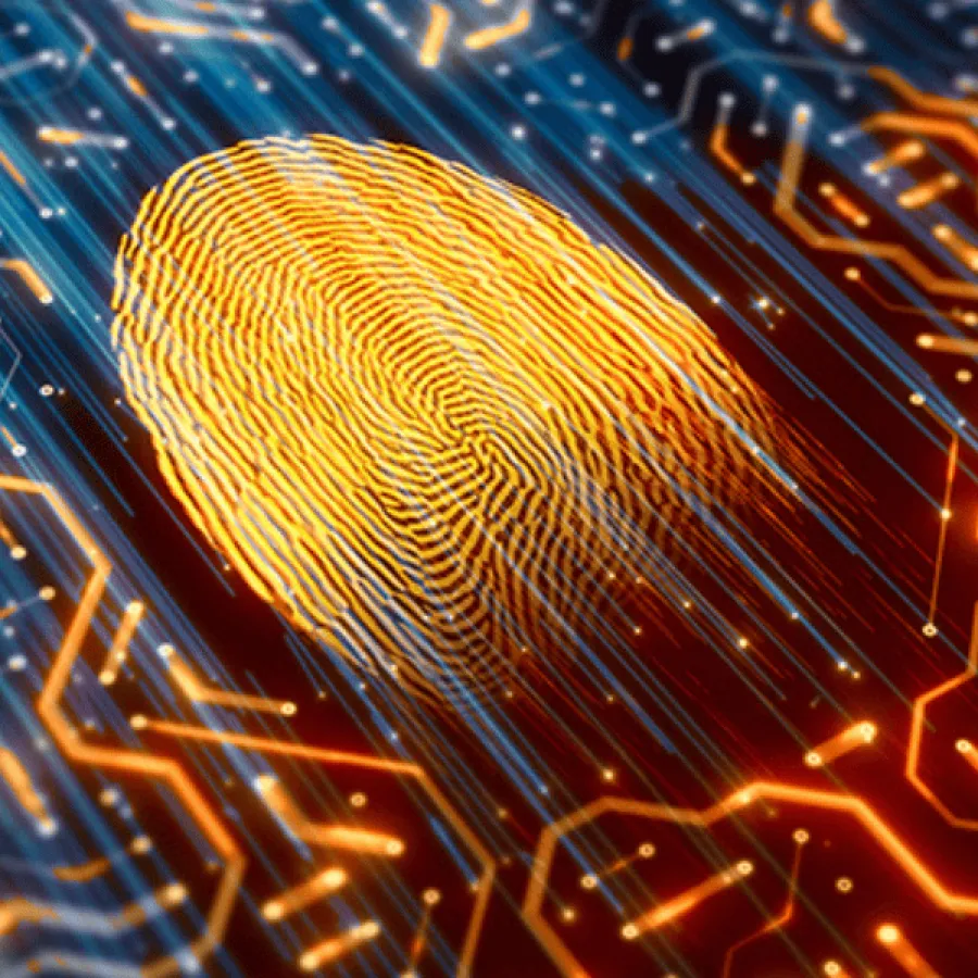 Seguridad informática para CFOs: Los costos de una brecha de seguridad